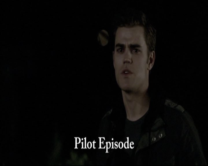 VampireDiariesWorld-dot-nl_S6TheVampireDiaires2014Comic-ConPanel0644.jpg VampireDiariesWorld-dot-nl_S6TheVampireDiaires2014Comic-ConPanel0644.jpg