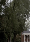 Filename=VampireDiariesWorld-dot-nl_S6ComeVisitGeorgiaPSA0065.jpg
Filesize=247KiB
Dimensions=720x576
Date added=Nov 03, 2015 VampireDiariesWorld-dot-nl_S6ComeVisitGeorgiaPSA0065.jpg