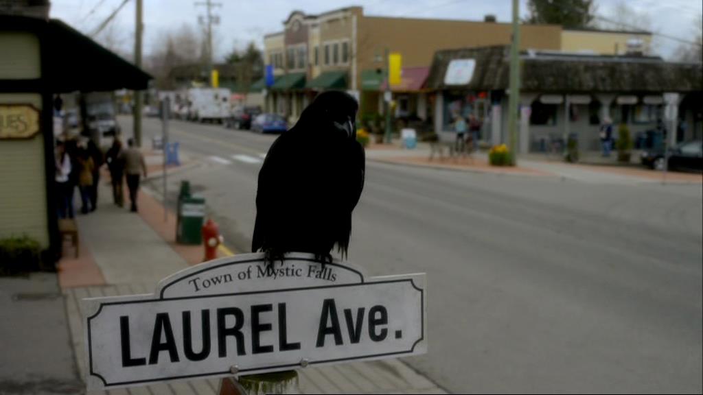 VampireDiariesWorld-dot-org_1x01Pilot_Captures00300.jpg