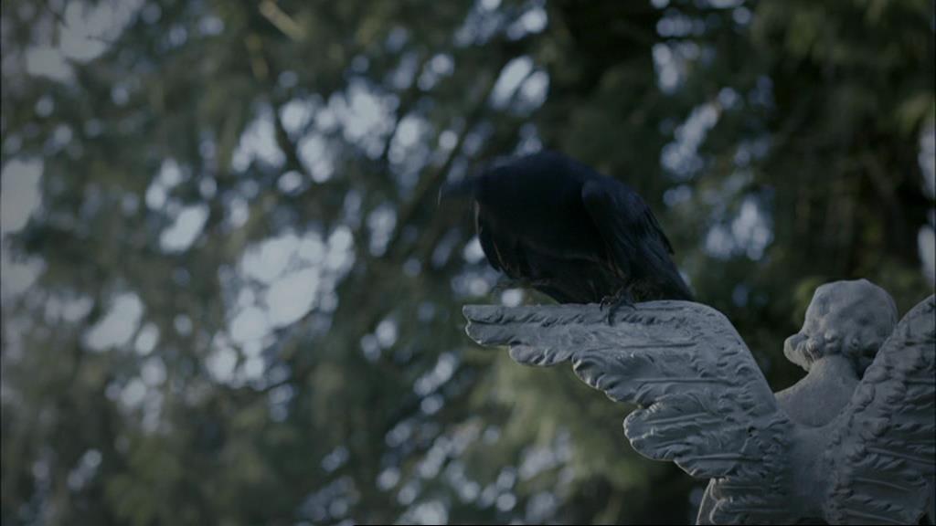 VampireDiariesWorld-dot-org_1x01Pilot_Captures00757.jpg