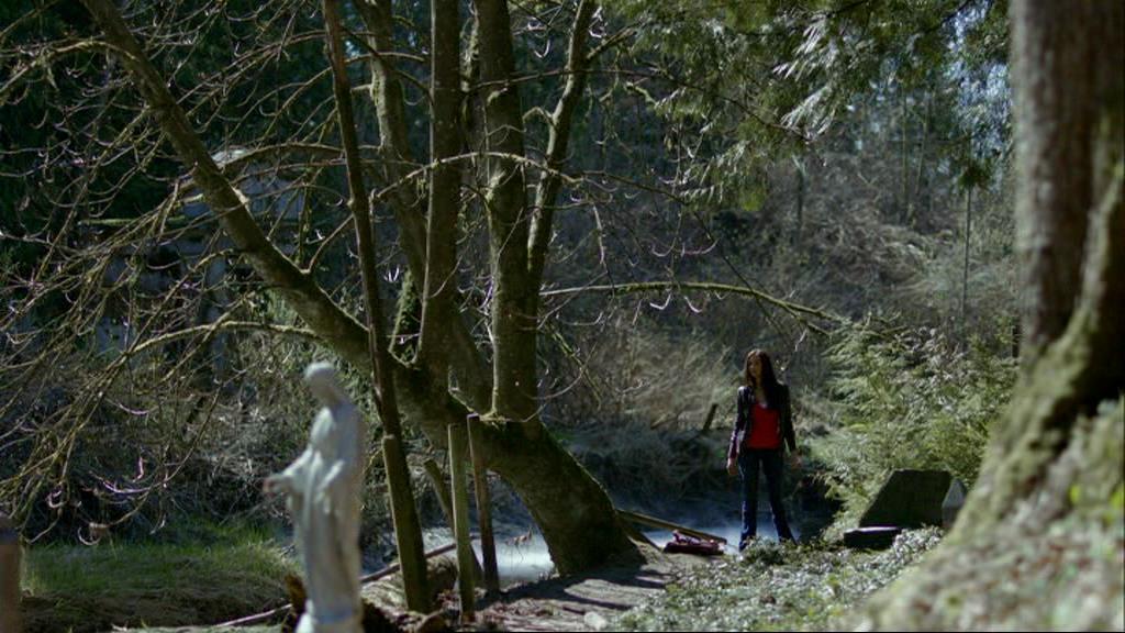 VampireDiariesWorld-dot-org_1x01Pilot_Captures00909.jpg