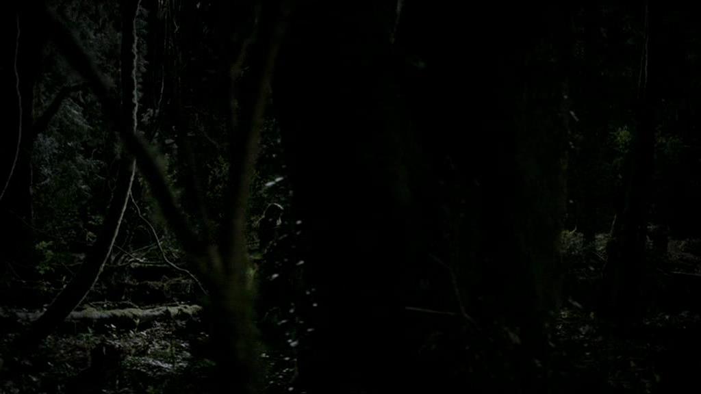 VampireDiariesWorld-dot-org_1x01Pilot_Captures01752.jpg VampireDiariesWorld-dot-org_1x01Pilot_Captures01752.jpg
