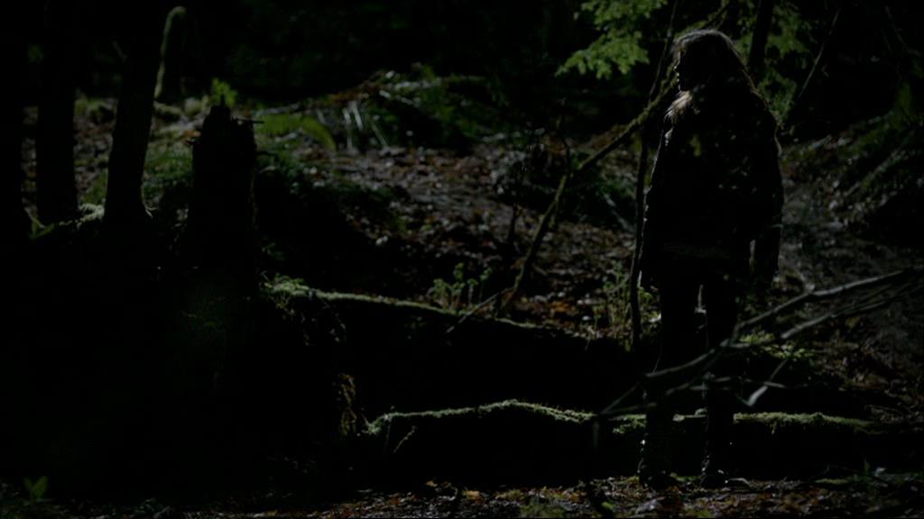 VampireDiariesWorld-dot-org_1x01Pilot_Captures01763.jpg
