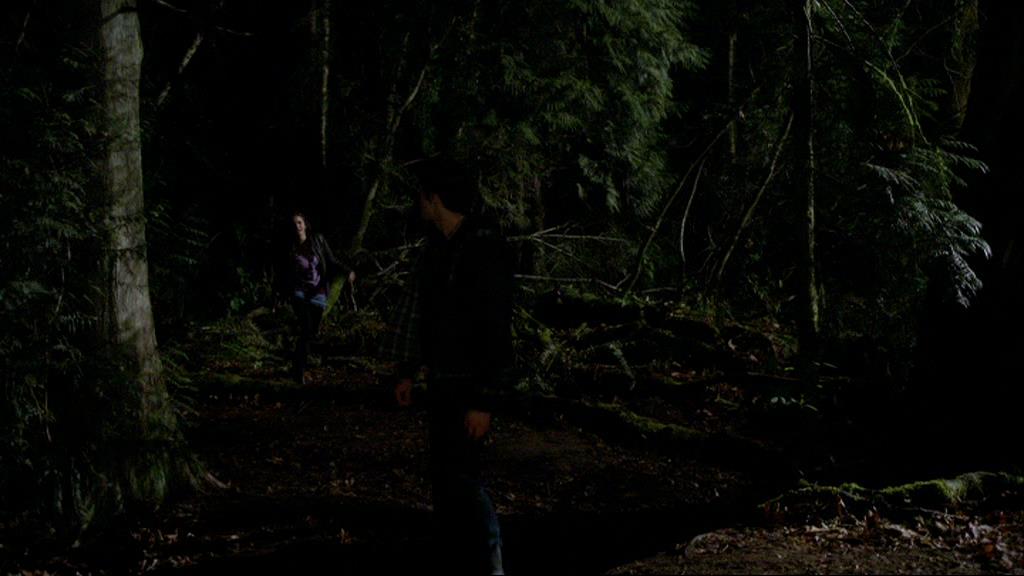 VampireDiariesWorld-dot-org_1x01Pilot_Captures01893.jpg