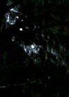 VampireDiariesWorld-dot-org_1x01Pilot_Captures00012.jpg