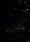 VampireDiariesWorld-dot-org_1x01Pilot_Captures00019.jpg