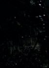 VampireDiariesWorld-dot-org_1x01Pilot_Captures00020.jpg