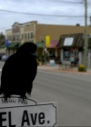 VampireDiariesWorld-dot-org_1x01Pilot_Captures00299.jpg