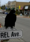 VampireDiariesWorld-dot-org_1x01Pilot_Captures00300.jpg