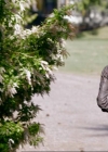 VampireDiariesWorld-dot-org_1x01Pilot_Captures00686.jpg