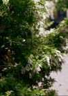 VampireDiariesWorld-dot-org_1x01Pilot_Captures00687.jpg