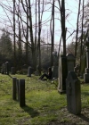 VampireDiariesWorld-dot-org_1x01Pilot_Captures00699.jpg