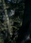 VampireDiariesWorld-dot-org_1x01Pilot_Captures00773.jpg