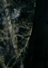 VampireDiariesWorld-dot-org_1x01Pilot_Captures00774.jpg