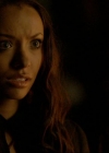 VampireDiariesWorld-dot-org_1x01Pilot_Captures01478.jpg