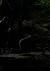 VampireDiariesWorld-dot-org_1x01Pilot_Captures01904.jpg