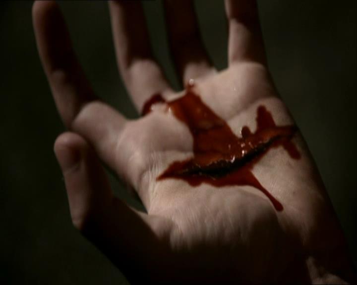 VampireDiariesWorld_dot_org-1x03FridayNightBites1706.jpg