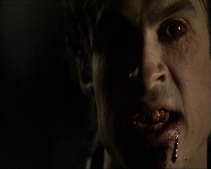 VampireDiariesWorld_dot_org-1x03FridayNightBites2035.jpg