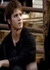 VampireDiariesWorld_dot_org-1x03FridayNightBites0189.jpg