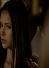 VampireDiariesWorld_dot_org-1x03FridayNightBites1037.jpg