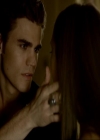VampireDiariesWorld_dot_org-1x03FridayNightBites1373.jpg