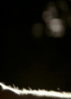 VampireDiariesWorld_dot_org-1x03FridayNightBites1453.jpg