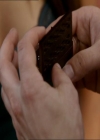 VampireDiariesWorld_dot_org-1x03FridayNightBites1521.jpg