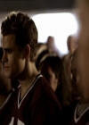 VampireDiariesWorld_dot_org-1x03FridayNightBites1616.jpg