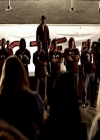 VampireDiariesWorld_dot_org-1x03FridayNightBites1619.jpg