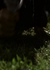 VampireDiariesWorld_dot_org-1x03FridayNightBites1697.jpg