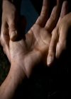 VampireDiariesWorld_dot_org-1x03FridayNightBites1722.jpg