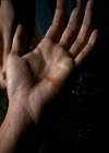 VampireDiariesWorld_dot_org-1x03FridayNightBites1723.jpg