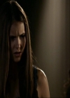 VampireDiariesWorld_dot_org-1x03FridayNightBites1762.jpg