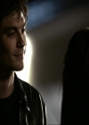 VampireDiariesWorld_dot_org-1x03FridayNightBites1847.jpg