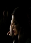 VampireDiariesWorld_dot_org-1x03FridayNightBites2181.jpg