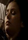 VampireDiariesWorld_dot_org-1x03FridayNightBites2255.jpg