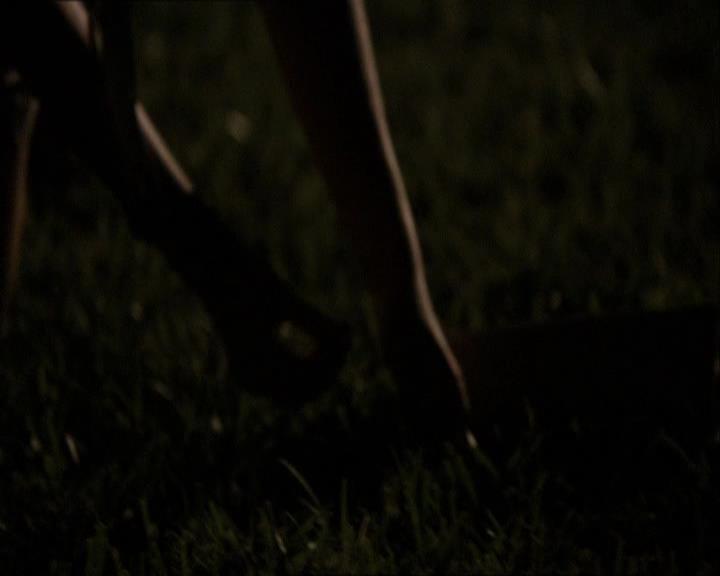 VampireDiariesWorld_dot_org-104FamilyTies2185.jpg