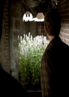 Filename=VampireDiariesWorld_dot_org-104FamilyTies0679.jpg
Filesize=35KiB
Dimensions=720x576
Date added=Jun 30, 2014 VampireDiariesWorld_dot_org-104FamilyTies0679.jpg