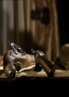 VampireDiariesWorld_dot_org-104FamilyTies1169.jpg
