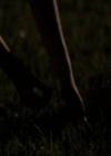 VampireDiariesWorld_dot_org-104FamilyTies2185.jpg
