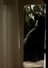 VampireDiariesWorld_dot_org-105YoureUndeadToMe1039.jpg