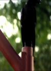 VampireDiariesWorld_dot_org-105YoureUndeadToMe1290.jpg
