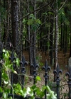 VampireDiariesWorld_dot_org-105YoureUndeadToMe1477.jpg