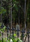 VampireDiariesWorld_dot_org-105YoureUndeadToMe1480.jpg