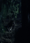 VampireDiariesWorld_dot_org-108-162Candles2464.jpg