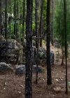 VampireDiariesWorld_dot_org-109HistoryRepeating0086.jpg