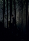 VampireDiariesWorld_dot_org-110TheTurningPoint2082.jpg