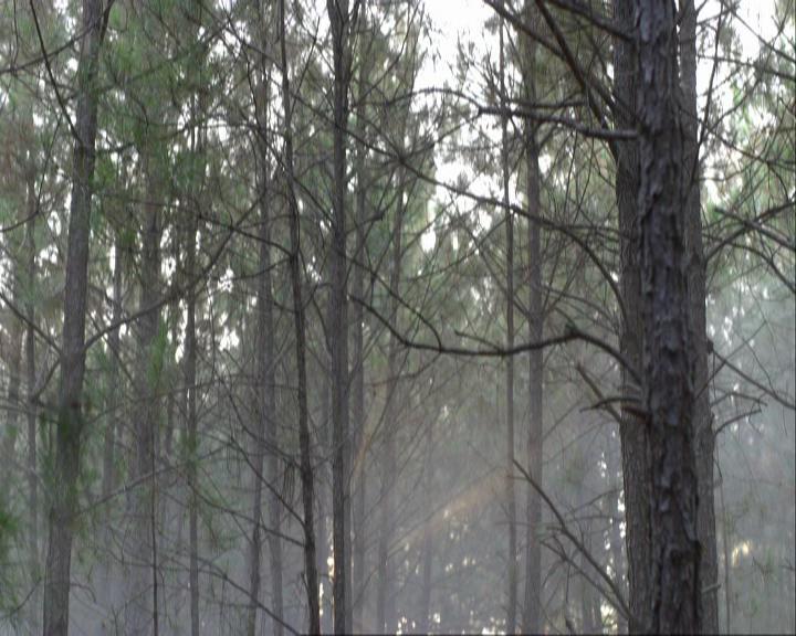 VampireDiariesWorld_dot_org-111Bloodlines0818.jpg
