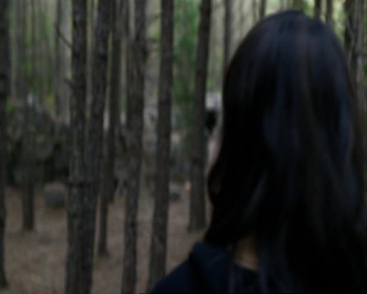 VampireDiariesWorld_dot_org-111Bloodlines0823.jpg
