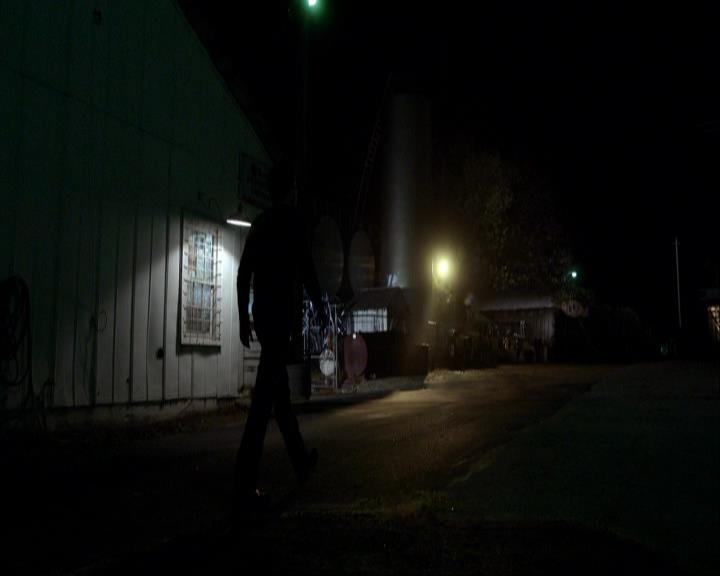 VampireDiariesWorld_dot_org-111Bloodlines1485.jpg
